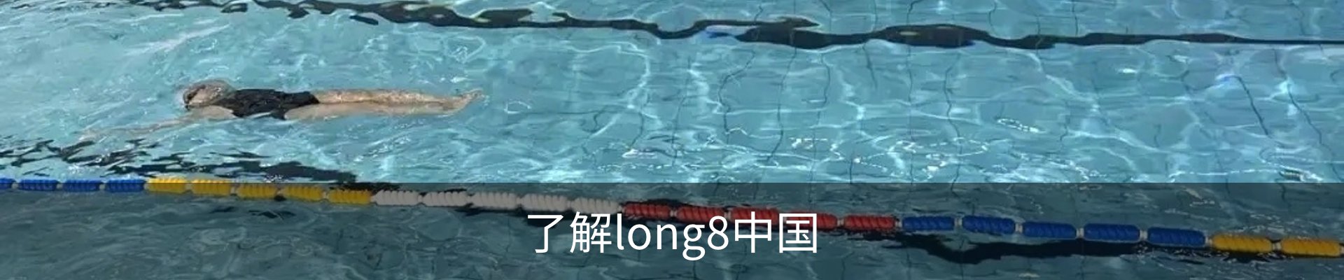 了解long8中国